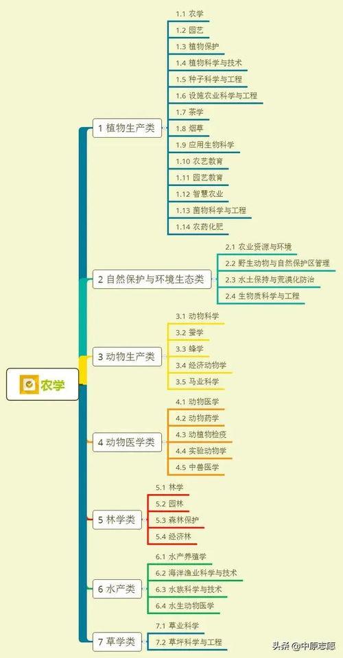 河源婚庆爆料视频大全集,视频大全集精彩瞬间回顾  第3张